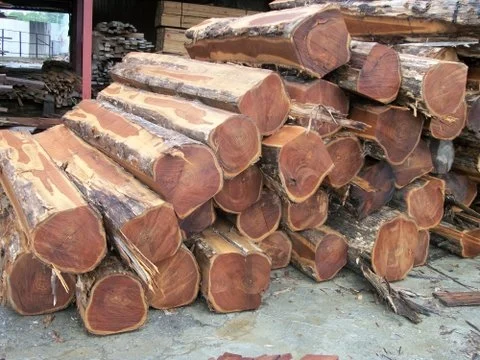 Value of Teak Wood